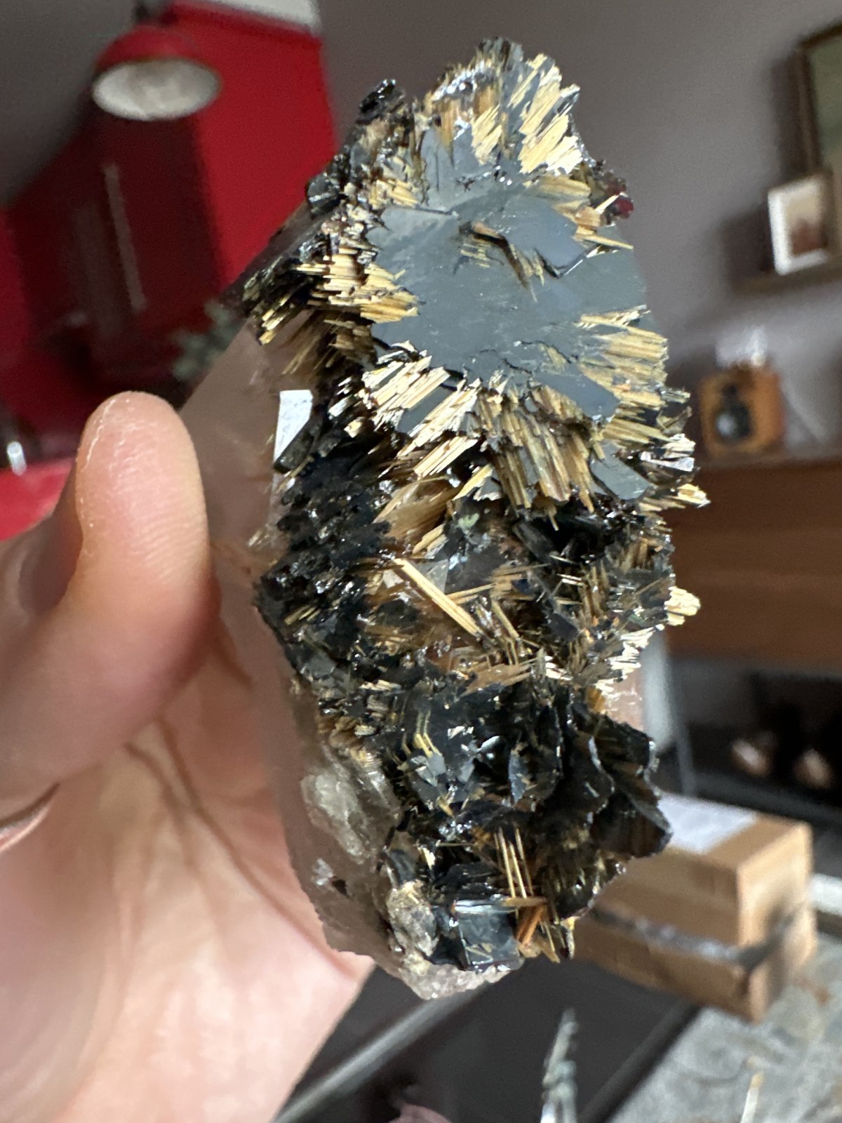 Cuarzo from Rutilated Quartz Localities, Remedios, Novo Horizonte, Bahía, Brasil — Terrium
