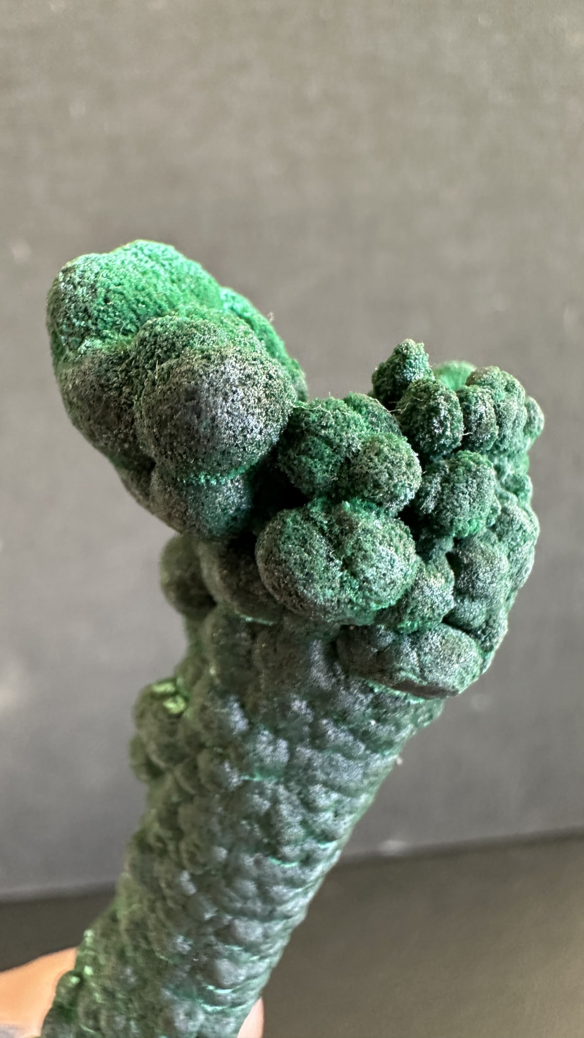 Malaquita Estalactita from Mina Shilu, Distrito de Yangchun, Provincia de Guangdong, China — Terrium