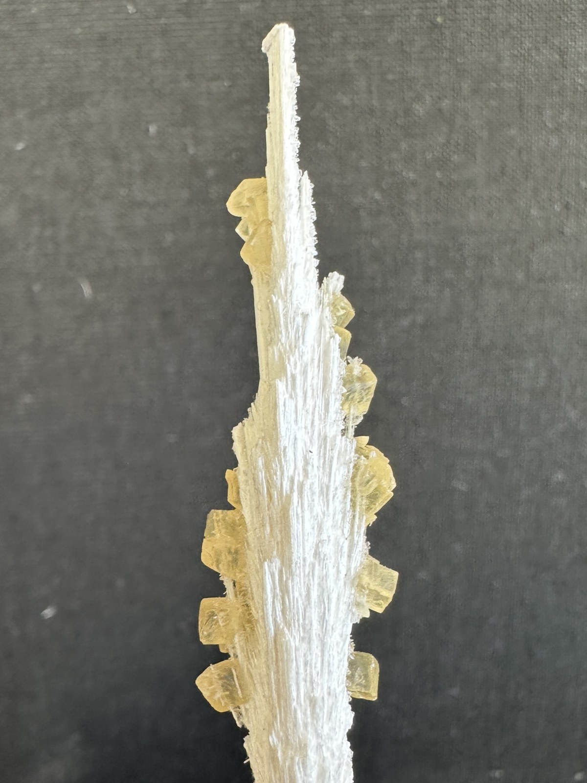 Escolecita from Pune, Pune, Maharashtra, India — Terrium