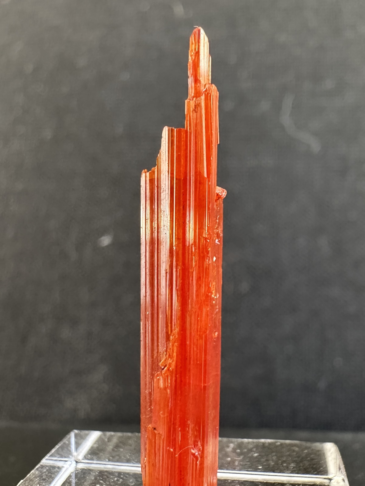 Crocoíta from Adelaide Mine, Dundas, Zeehan, Tasmania, Australia — Terrium