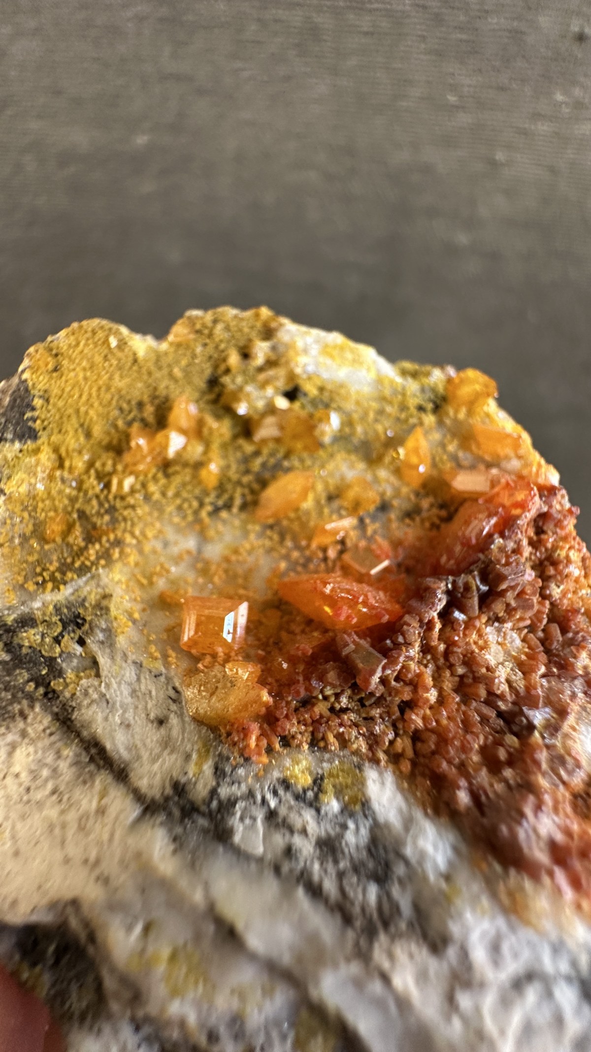Wulfenita Naranja, Amarilla from Cerro del Mercado, Victoria de Durango, Cerro de los Remedios, Durango, México — Terrium