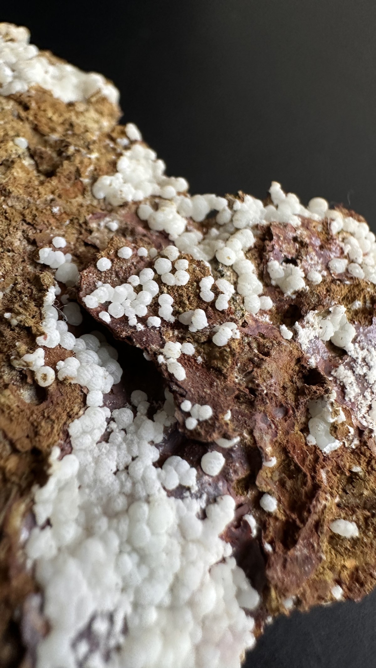 Fluorapatito Carbonato-Fluorapatito from Mina Elvira de Mines Rocabruna, Bruguers-Gavà, Barcelona, Catalunya, España — Terrium