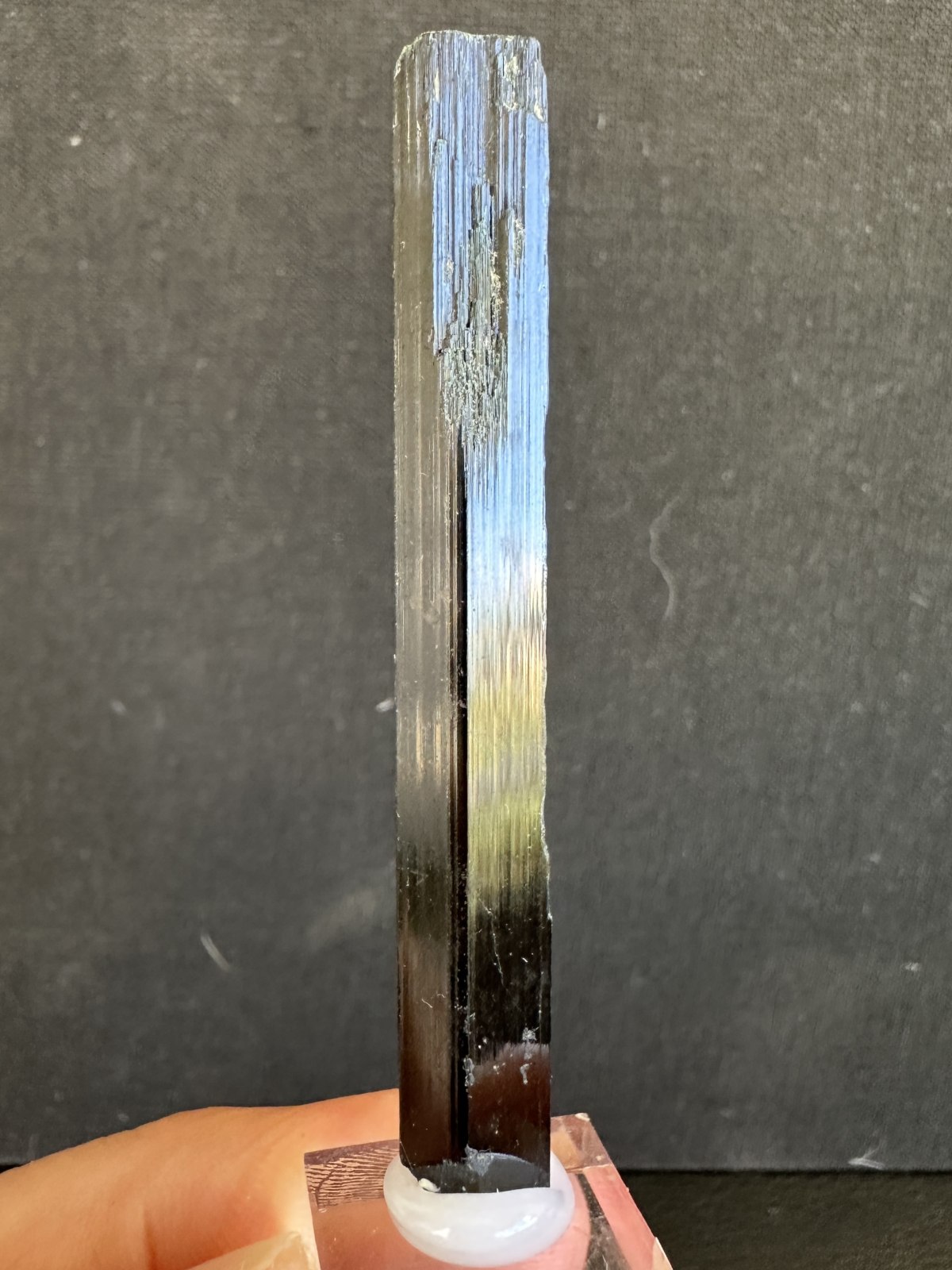 Ferro-actinolita from Shigar Mines, Shigar Valley, Shigar District, Gilgit-Baltistán, Pakistán — Terrium