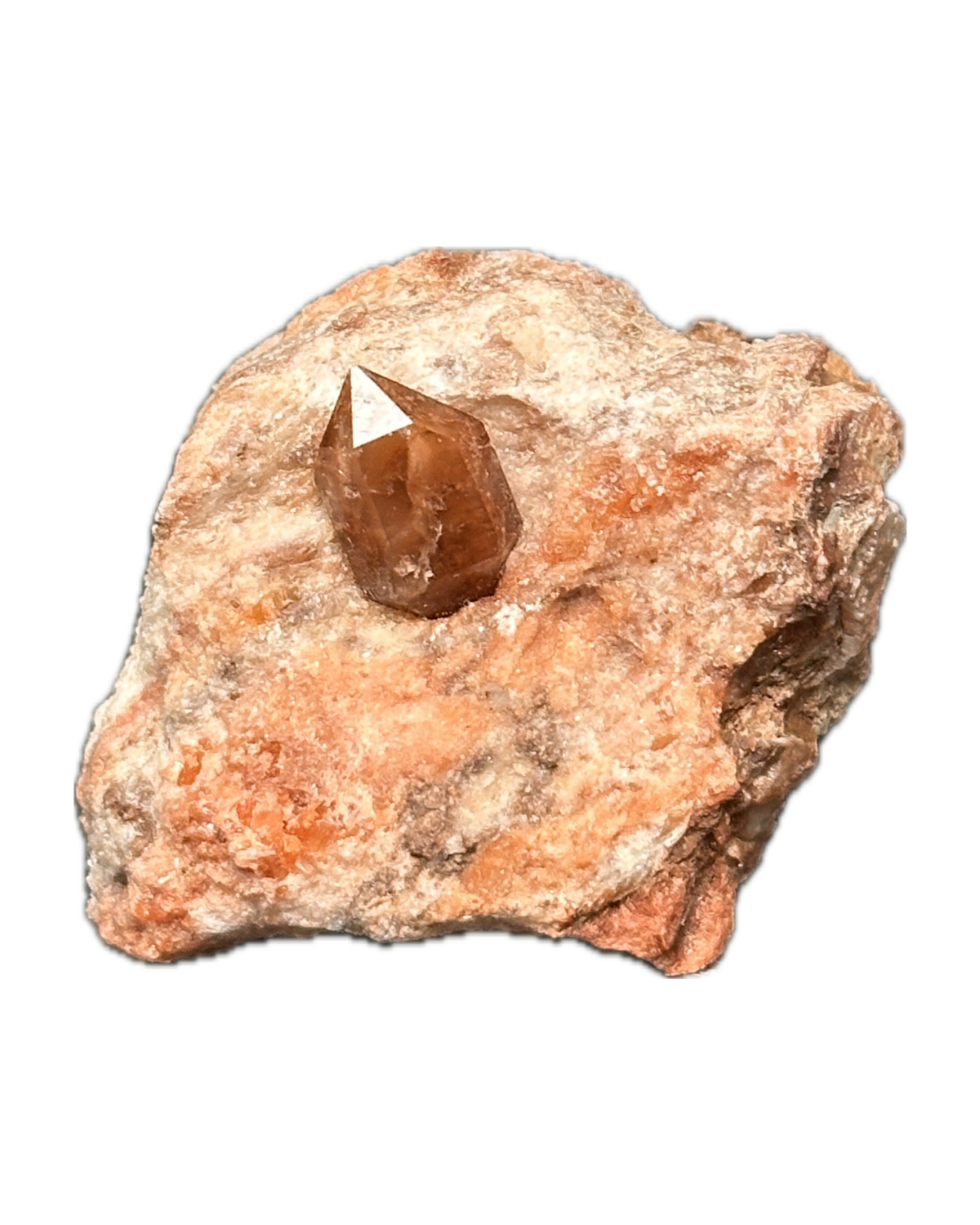Jacinto de Compostela from Domeño, Valencia, Valencia, España — Terrium