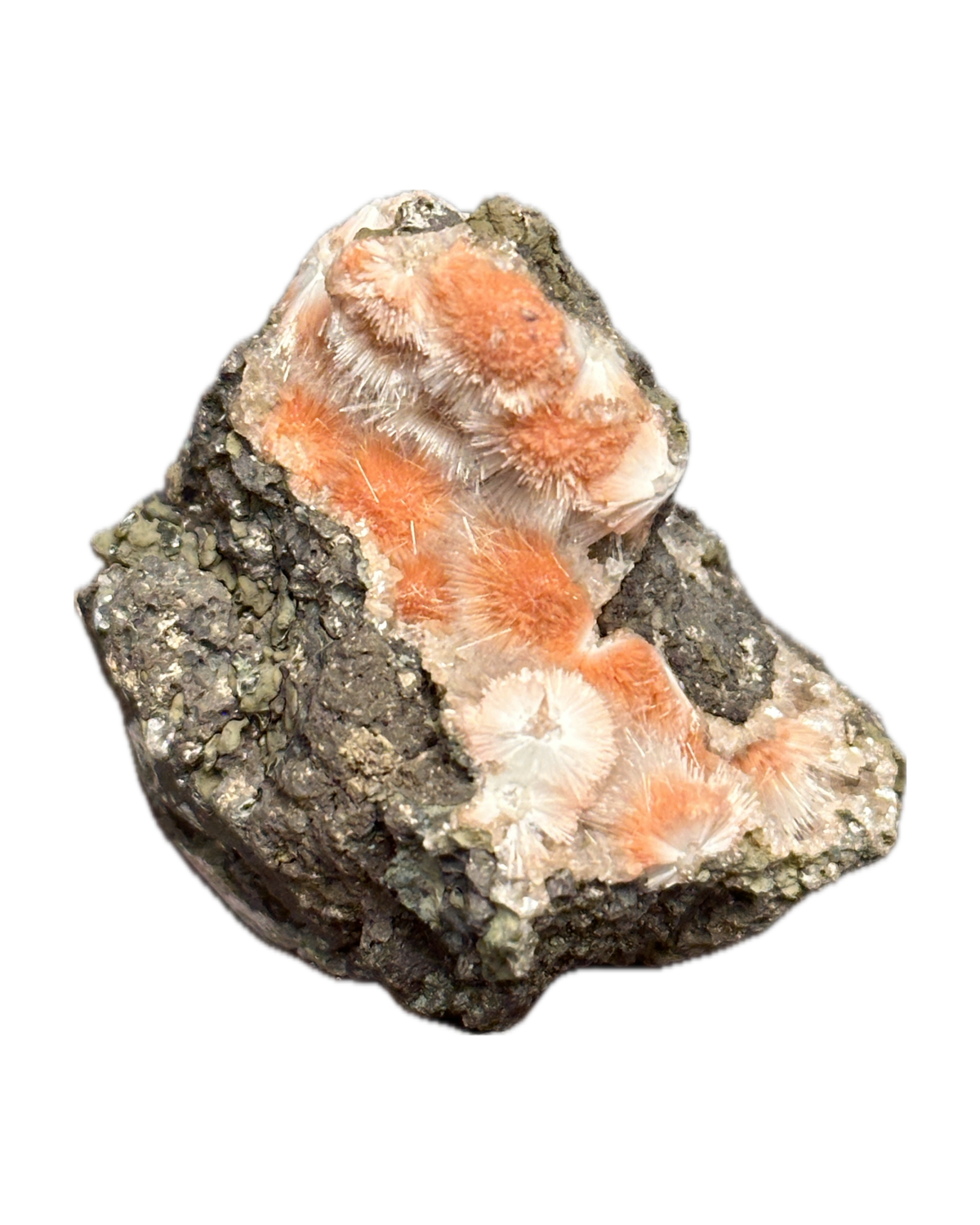 Thomsonita from Deshgoan, Madhya Pradesh, Madhya Pradesh, India — Terrium