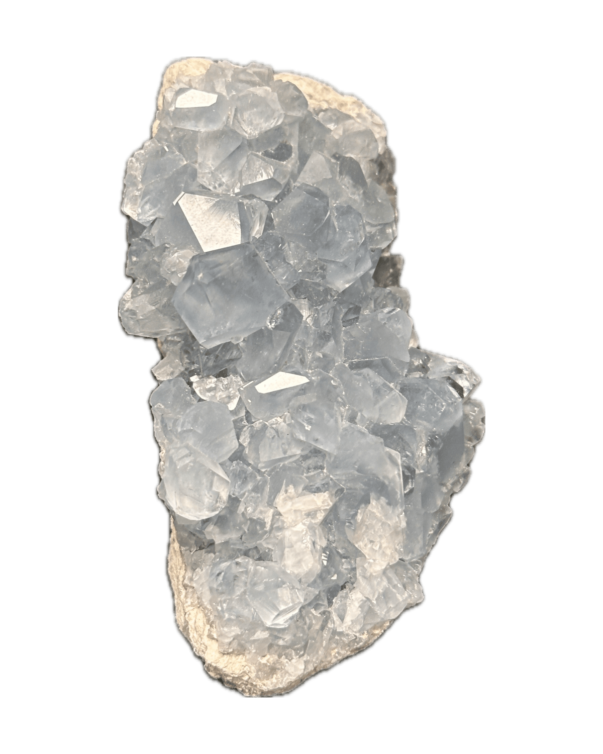Celestina from Sakoany, Katsepi, Mitsinjo, Boeny, Madagascar — Terrium