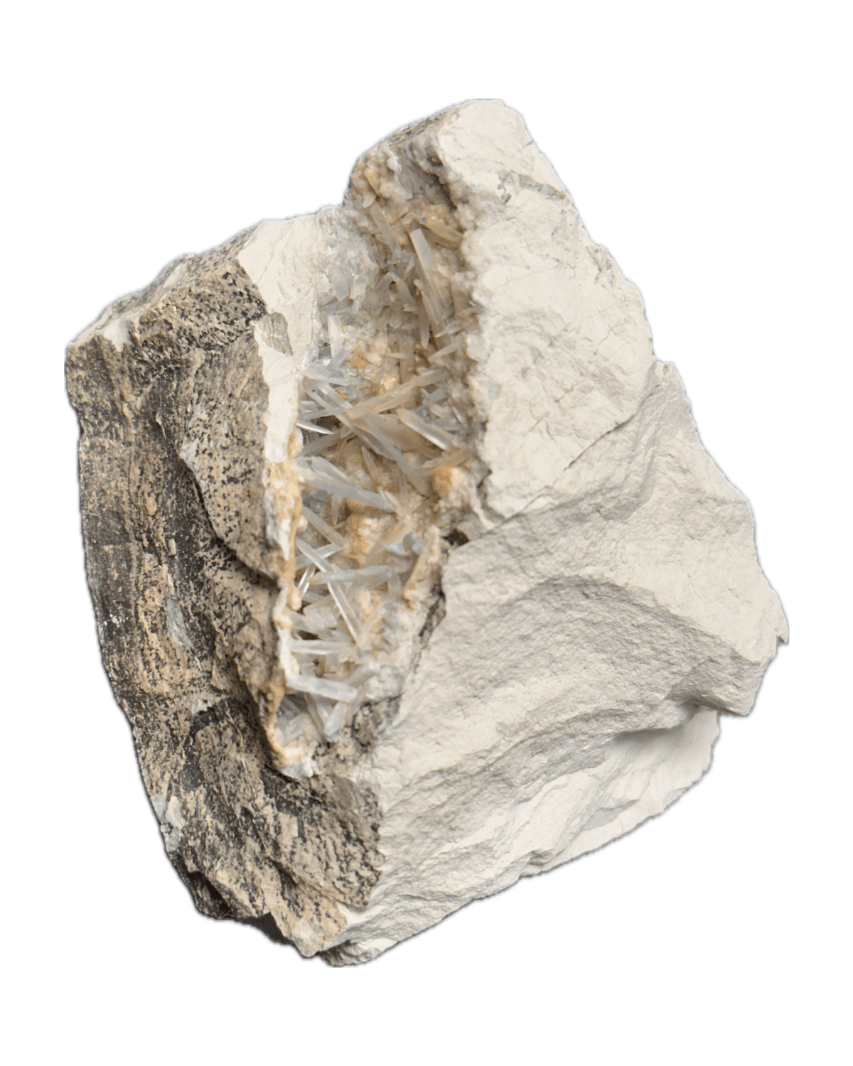 Celestina from La Segarra, Torà, Lleida, Catalunya, España — Terrium