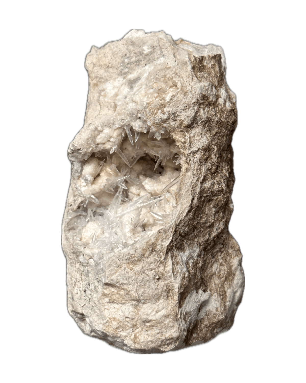 Celestina from La Segarra, Torà, Lleida, Catalunya, España — Terrium
