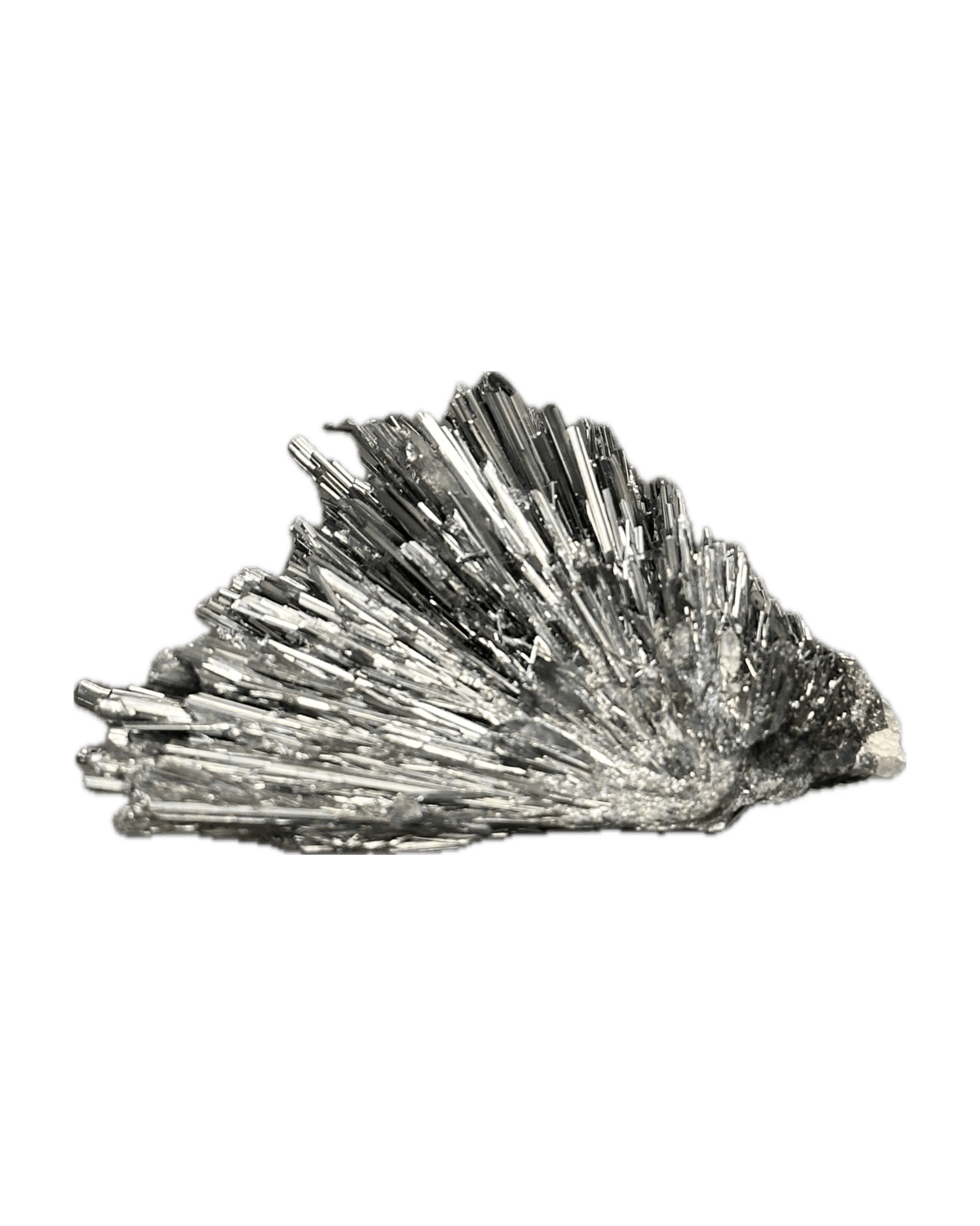 Estibina from Mina Herja, Baia Mare, Maramureș, Transilvania, Rumanía — Terrium