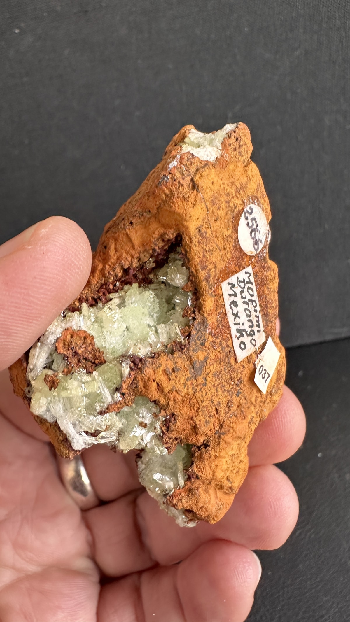 Adamita de Mina Ojuela, Mapimí, Durango, México — Terrium