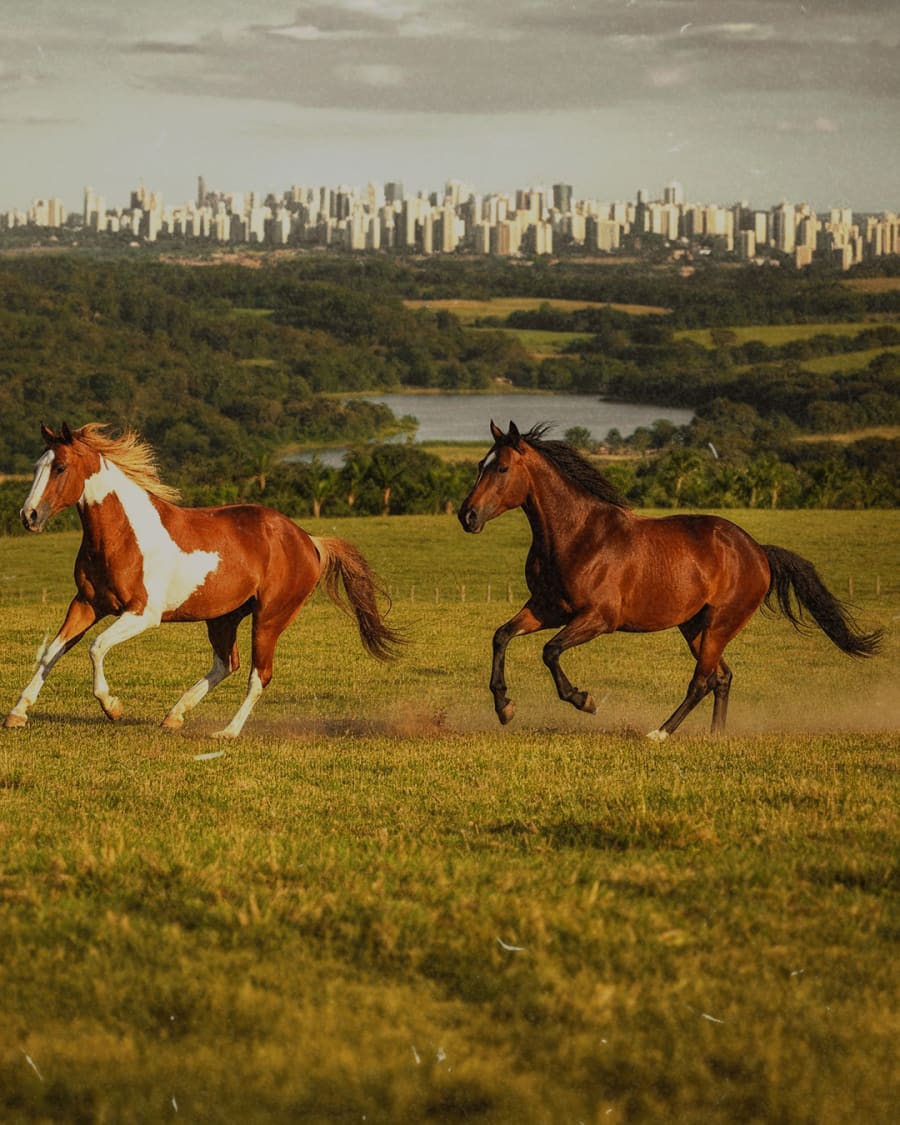 300 mil m² de natureza preservada