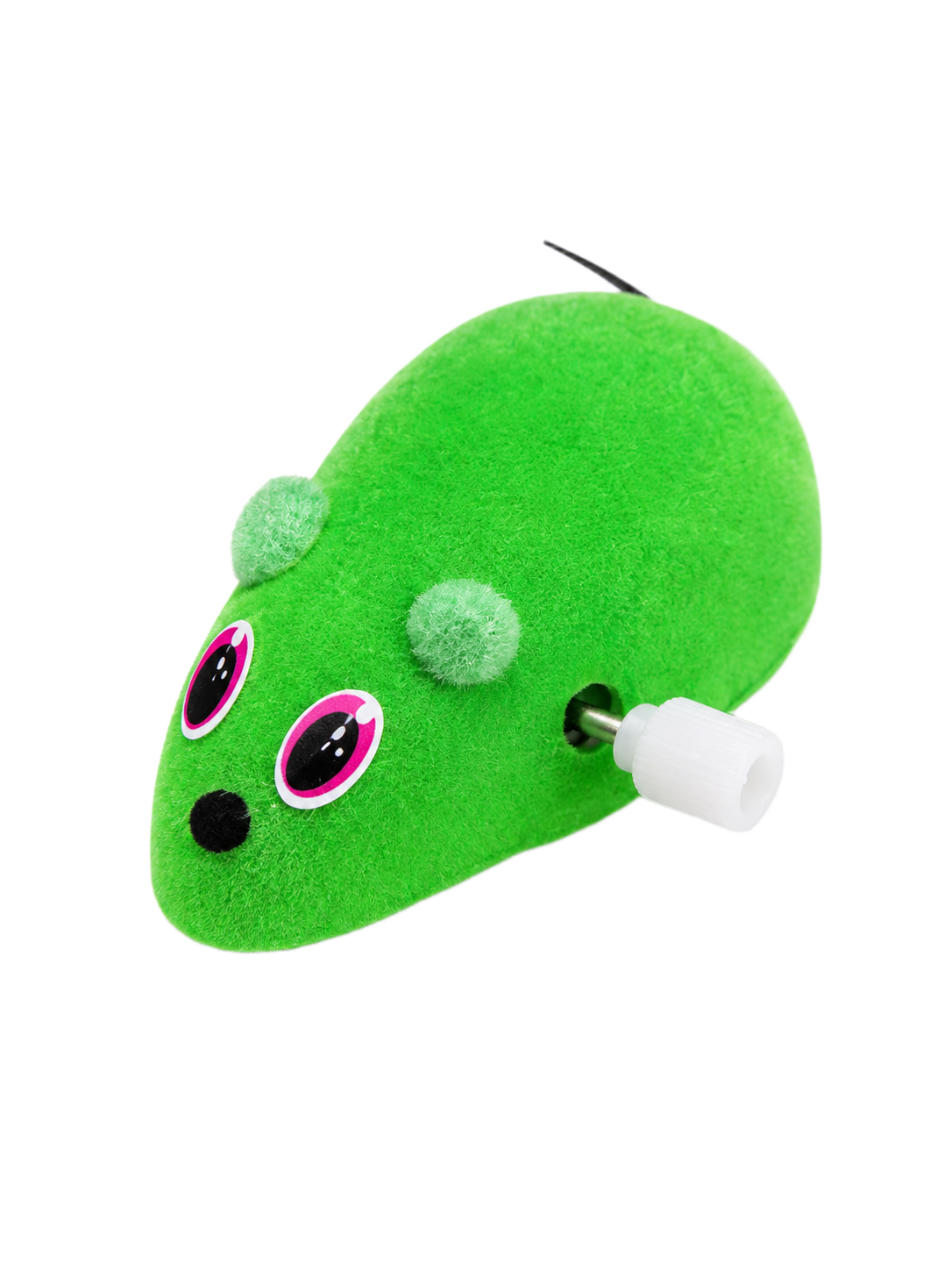 Small Mouse