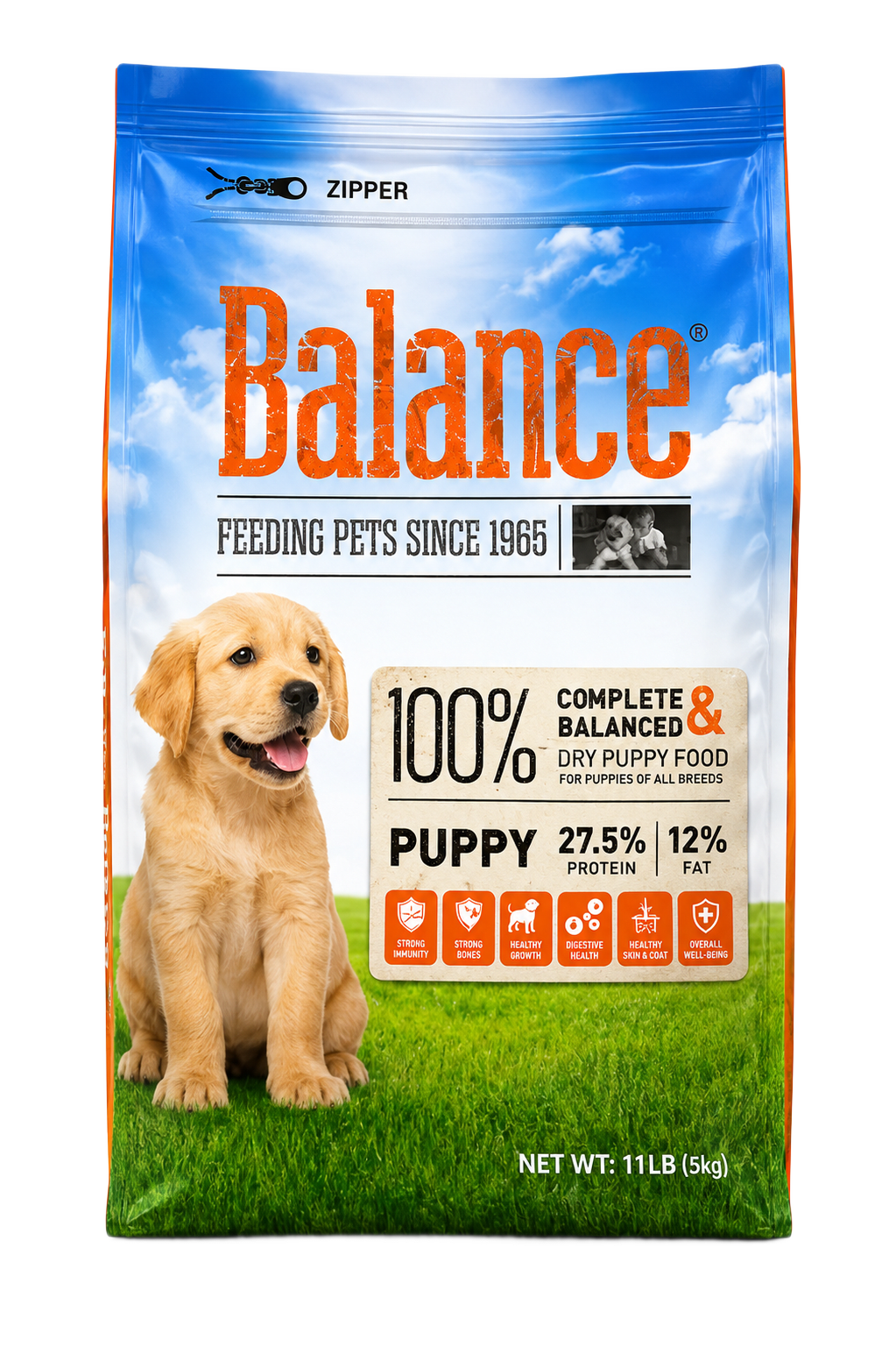 Balance - Adult 15kg