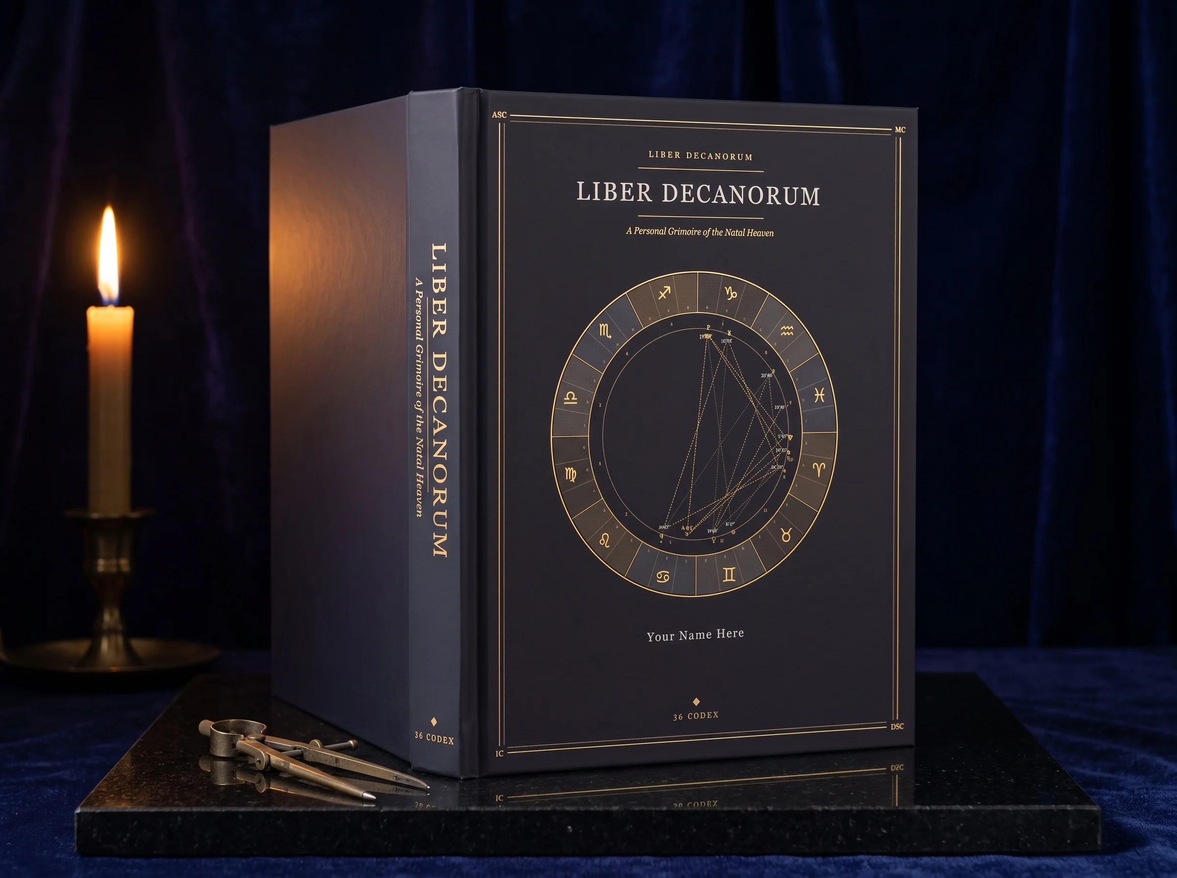 The Book of the Self — the hardcover, standing
