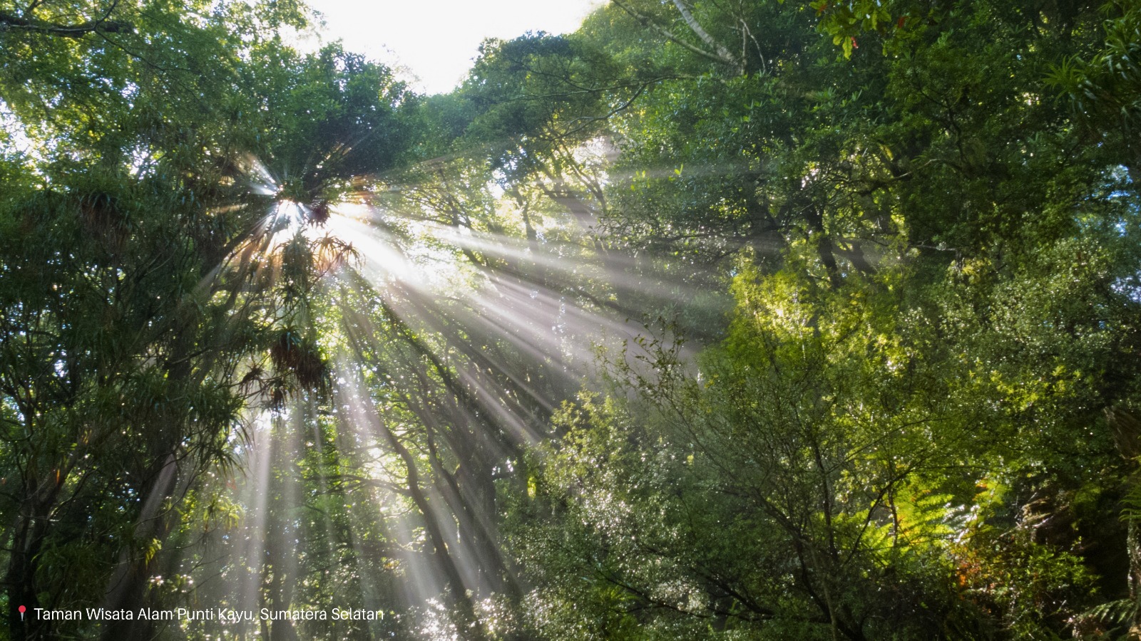 Gambar untuk Perizinan Jasa Lingkungan dan Wisata Alam
