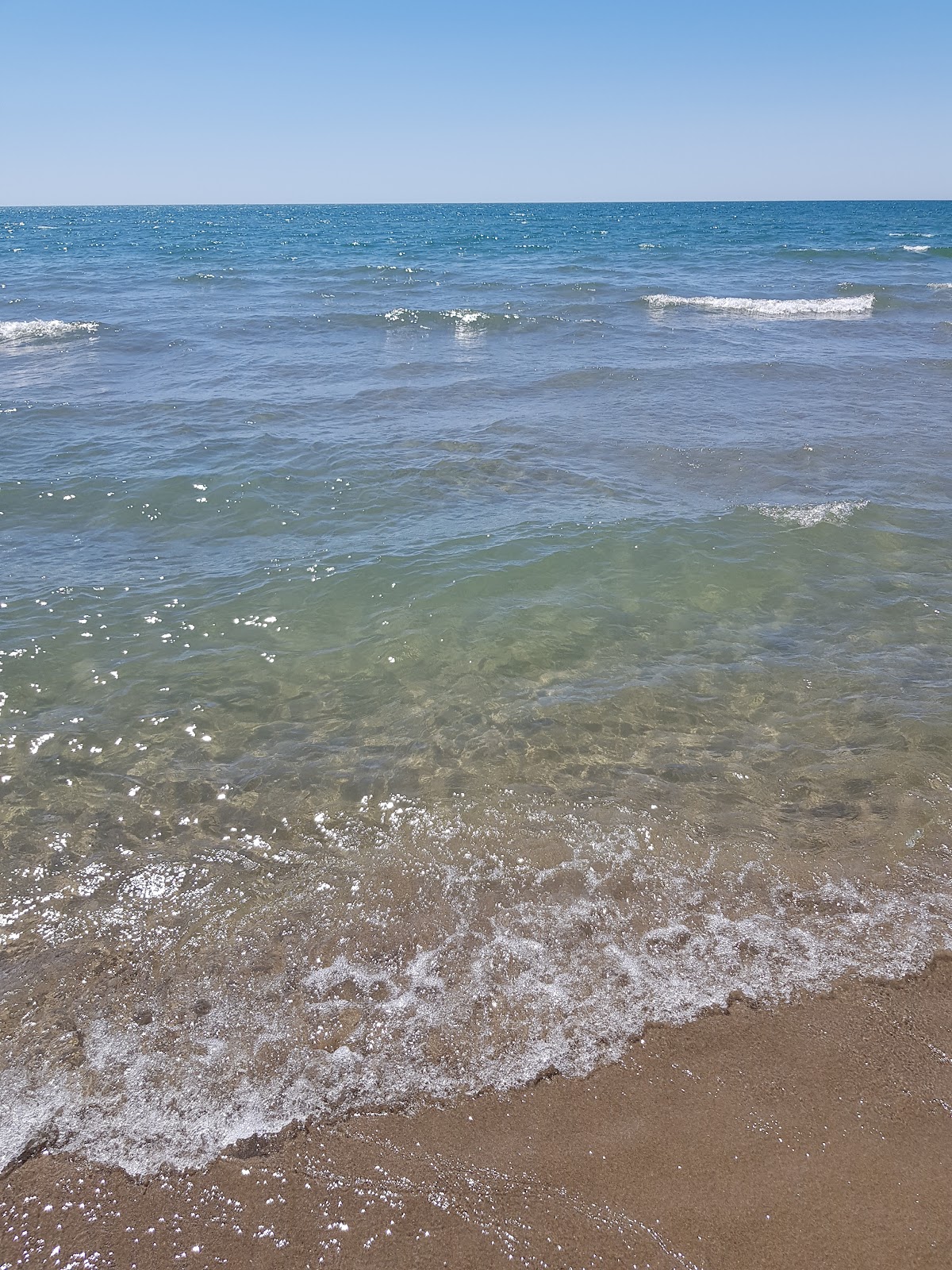 Spiagge Libere