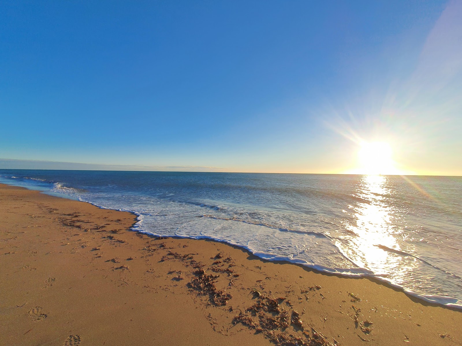 Spiaggia di Cerveteri