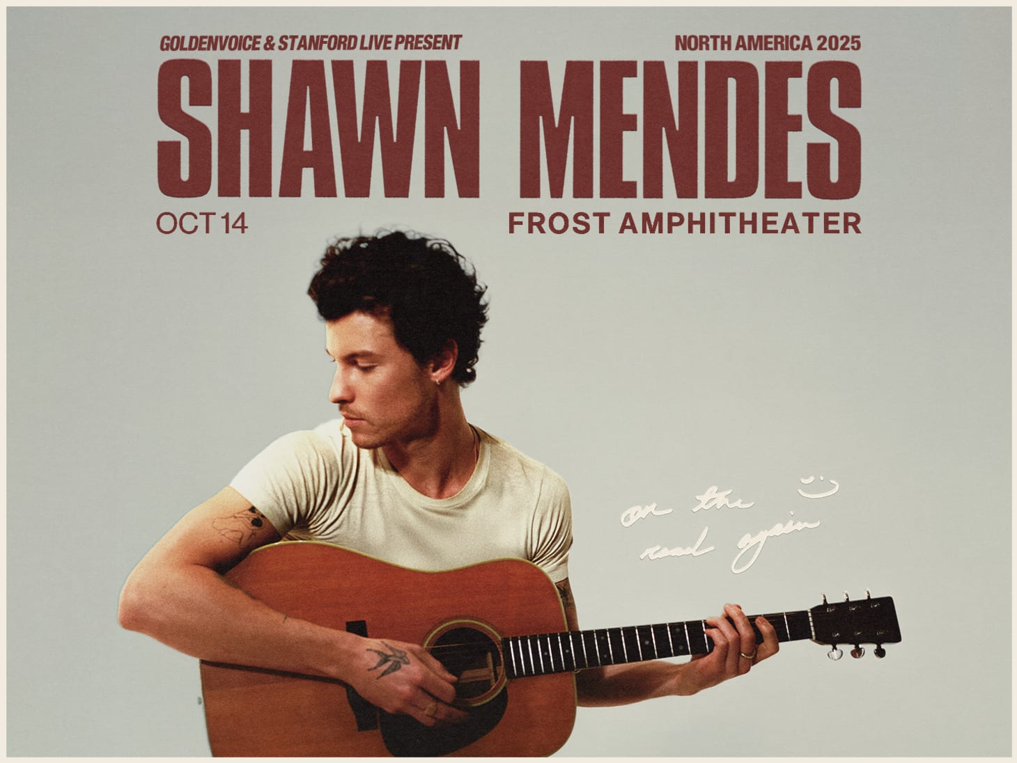 Shawn Mendes playing guitar 