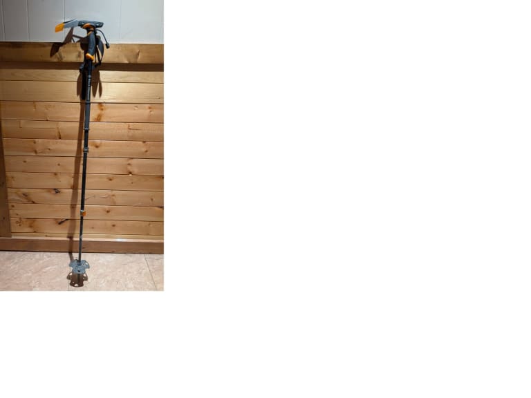 Black Diamond Whippet Carbon Self Arrest Ski Pole (Kimberley)