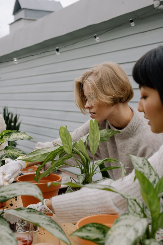 gardening
