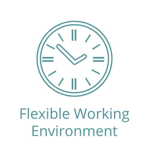 FLEXIBLE-WORKING