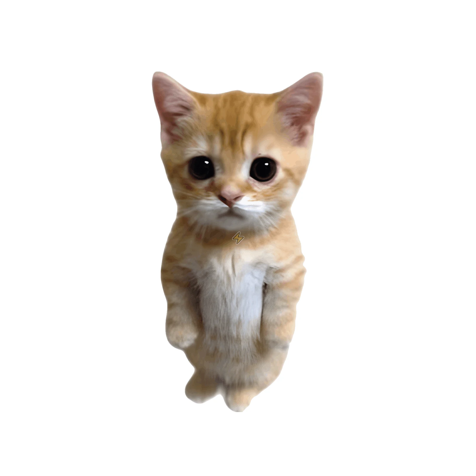 Sticker de Gatito - comprar en Argentina