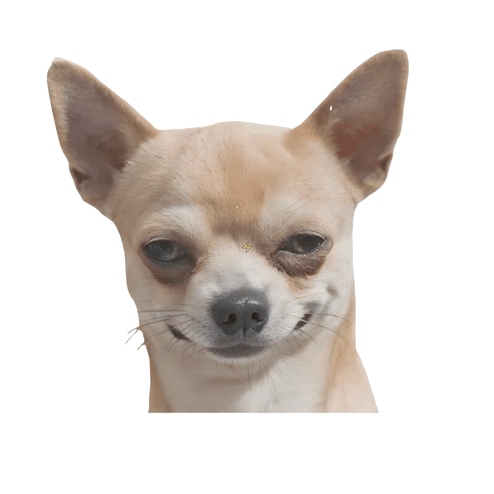 Sticker de Perro canchero - comprar en Argentina