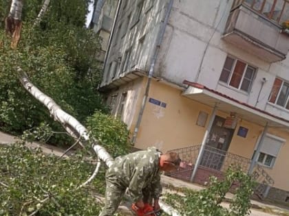 В Йошкар-Оле коммунальщики расчищают улицы от упавших во время урагана деревьев