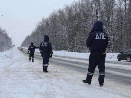 В Марий Эл инспекторы ДПС помогли водителю сломавшегося грузовика
