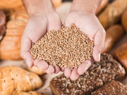 Прошлогодний рекордный урожай зерновых сдерживал рост цен на продукты в Марий Эл