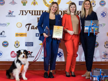 Четвероногие подопечные «ЛизаАлерт» в числе победителей «Лучшие собаки России»