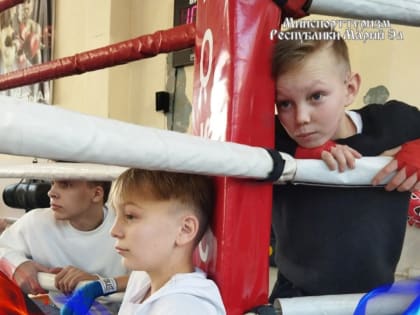 В Йошкар-Оле провели чемпионат по кикбоксингу