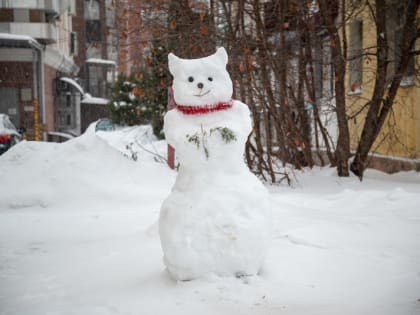 Роспотребнадзор Марий Эл рассказал, что делать в случае обморожения