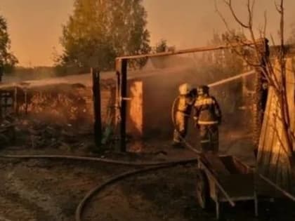 В Марий Эл ночью загорелись надворные постройки