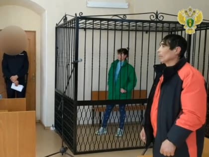 В Марий Эл осудили преступную парочку