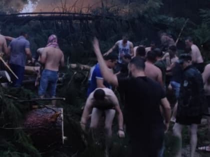 В Марий Эл прошел ураган: “Лежат поломанные деревья, люди в панике”