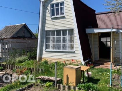 Йошкар-олинский дачник заразился мышиной лихорадкой на своем огороде