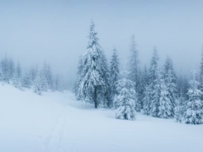 Синоптики предупредили о морозах в Марий Эл на Рождество