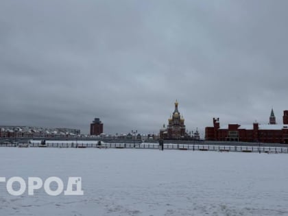 Япония ввела санкции против марийского завода