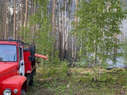 Жителей Марий Эл предупредили о нарастающей пожарной опасности в лесах