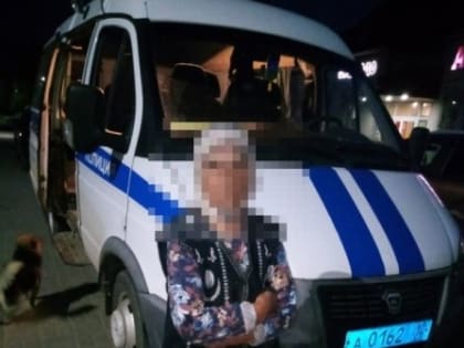 В районе Марий Эл нашли ушедшую в лес 87-летнюю бабушку