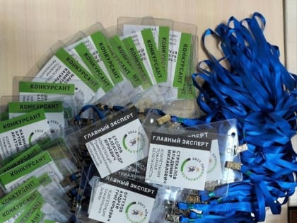 3 апреля в Марий Эл стартует Чемпионат по профессиональному мастерству «Профессионалы»