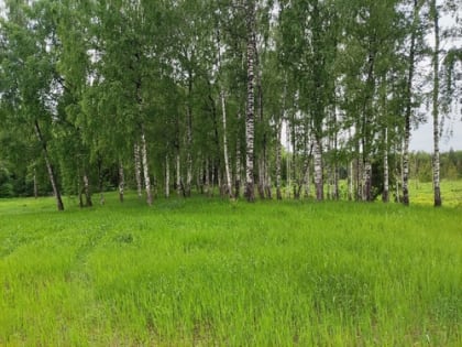 С 8 мая в Республике Марий Эл определено начало вегетационного периода