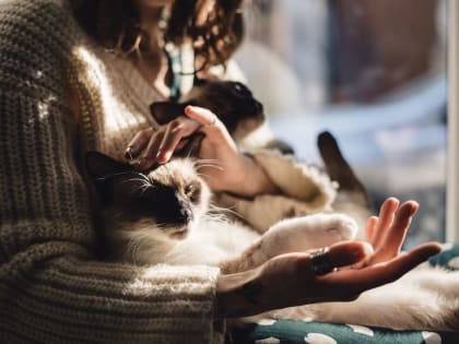 27 апреля жители Йошкар-Олы смогут бесплатно вакцинировать своих домашних животных от бешенства