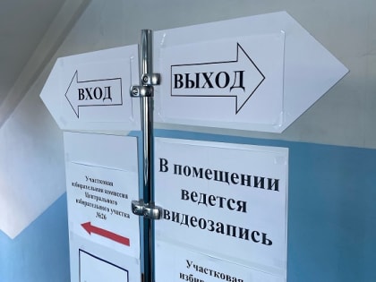 В Марий Эл на сентябрьских выборах применят формат дистанционного электронного голосования