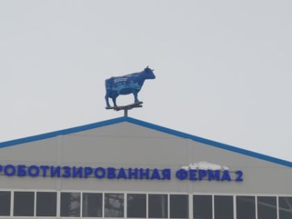 Состоялся профилактический визит на единственную роботизированную ферму в Республике Марий Эл