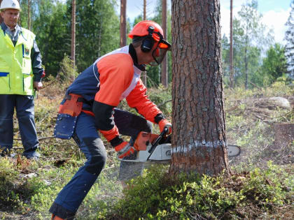 Расходы на охрану труда в Марий Эл превысили 14 млн рублей