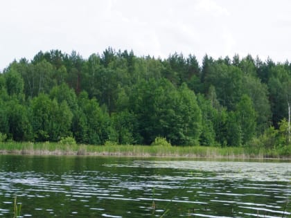Жители Марий Эл после купания на Яльчике жалуются на зуд и покраснения кожи