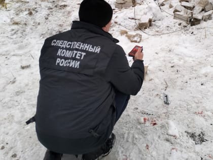 Житель Марий Эл погиб под обрушившейся кирпичной стеной