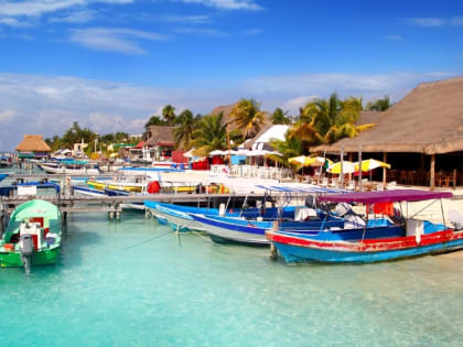 Где привиться от желтой лихорадки, выезжая в тропики